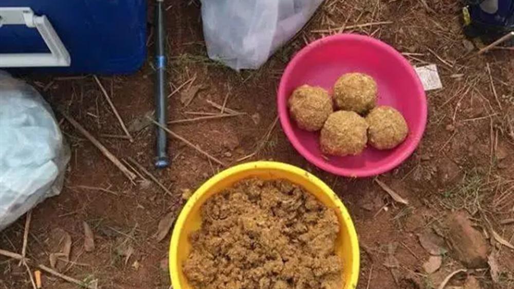 饵料|野钓大鱼聚鱼之道，要不要诱钓一体？