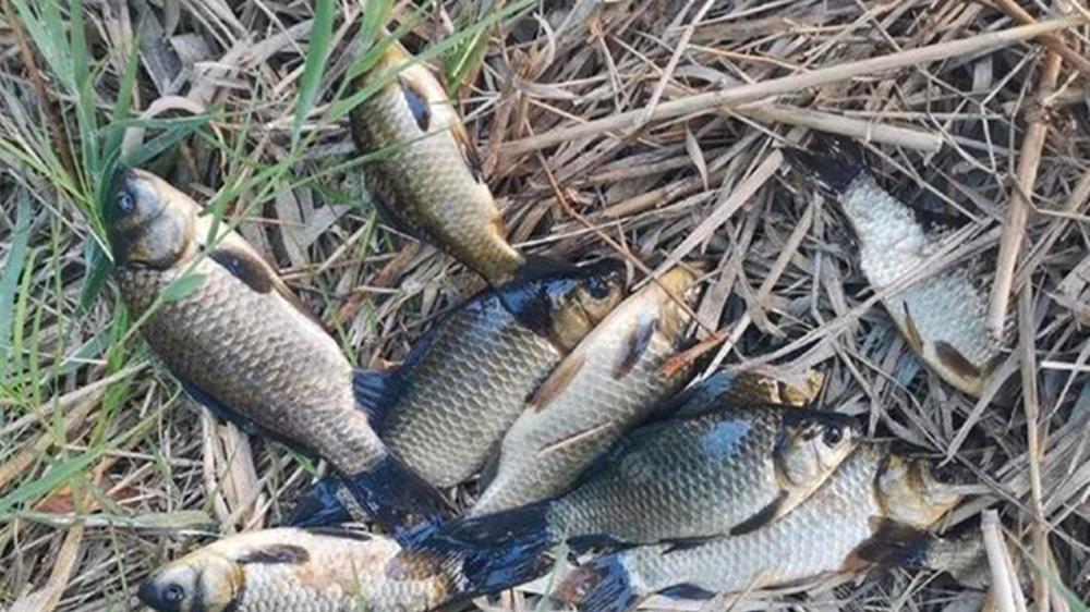 冬季野钓鲫鱼，3个步骤找到鱼窝，千万莫选老钓位