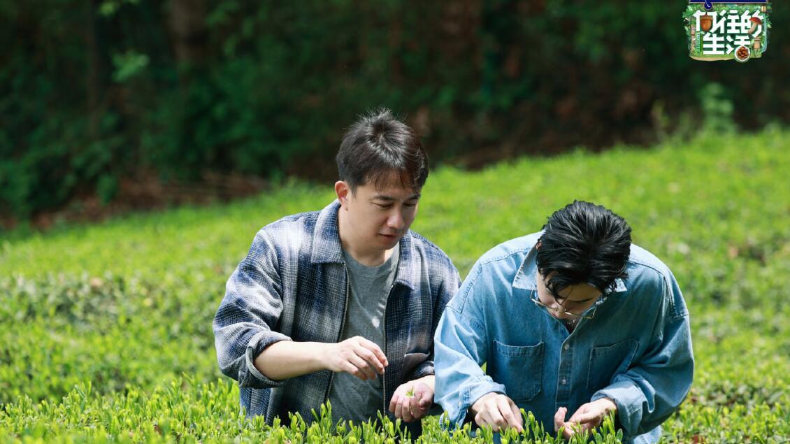 黄磊|大华回归！可惜已经变味儿了