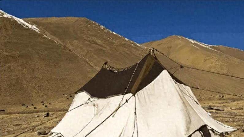 西藏|在西藏看到白色帐篷，为啥要躲着？老牧民直言：进去谁也帮不了你