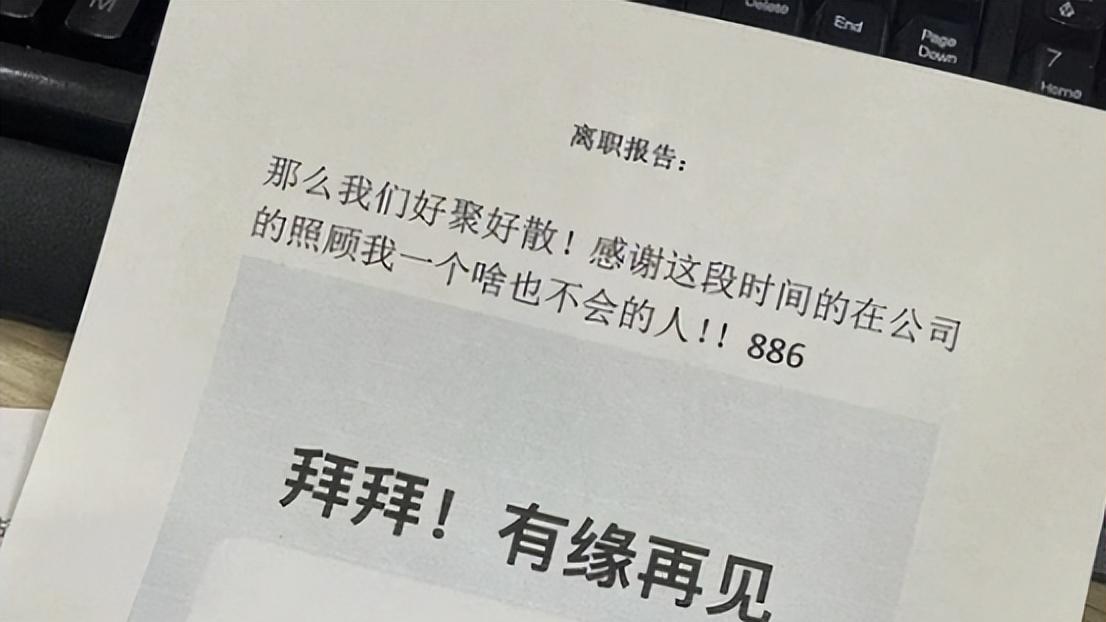 |00后毕业生摇身变成“仲裁侠”，离职理由太真实，老板颜面扫地
