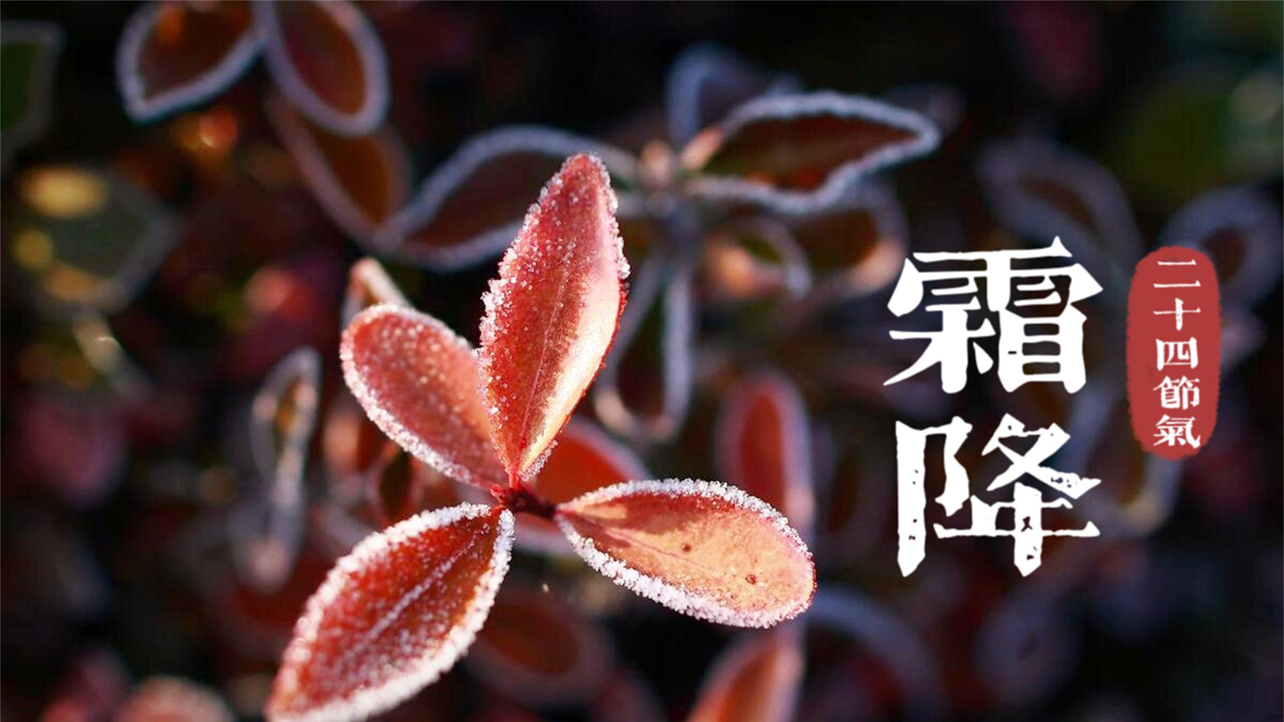 霜降|“天上繁霜降，地上吃五样”，明日霜降，要吃哪五样？民俗多了解