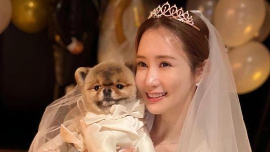 李多海|李多海SE7EN婚礼倒数1天，超豪华宾客名单提前曝光