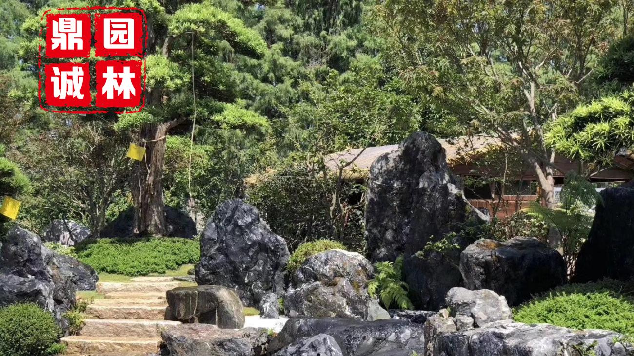 蓝天救援队|黑山石大自然庭院园景风景美化观赏造景石