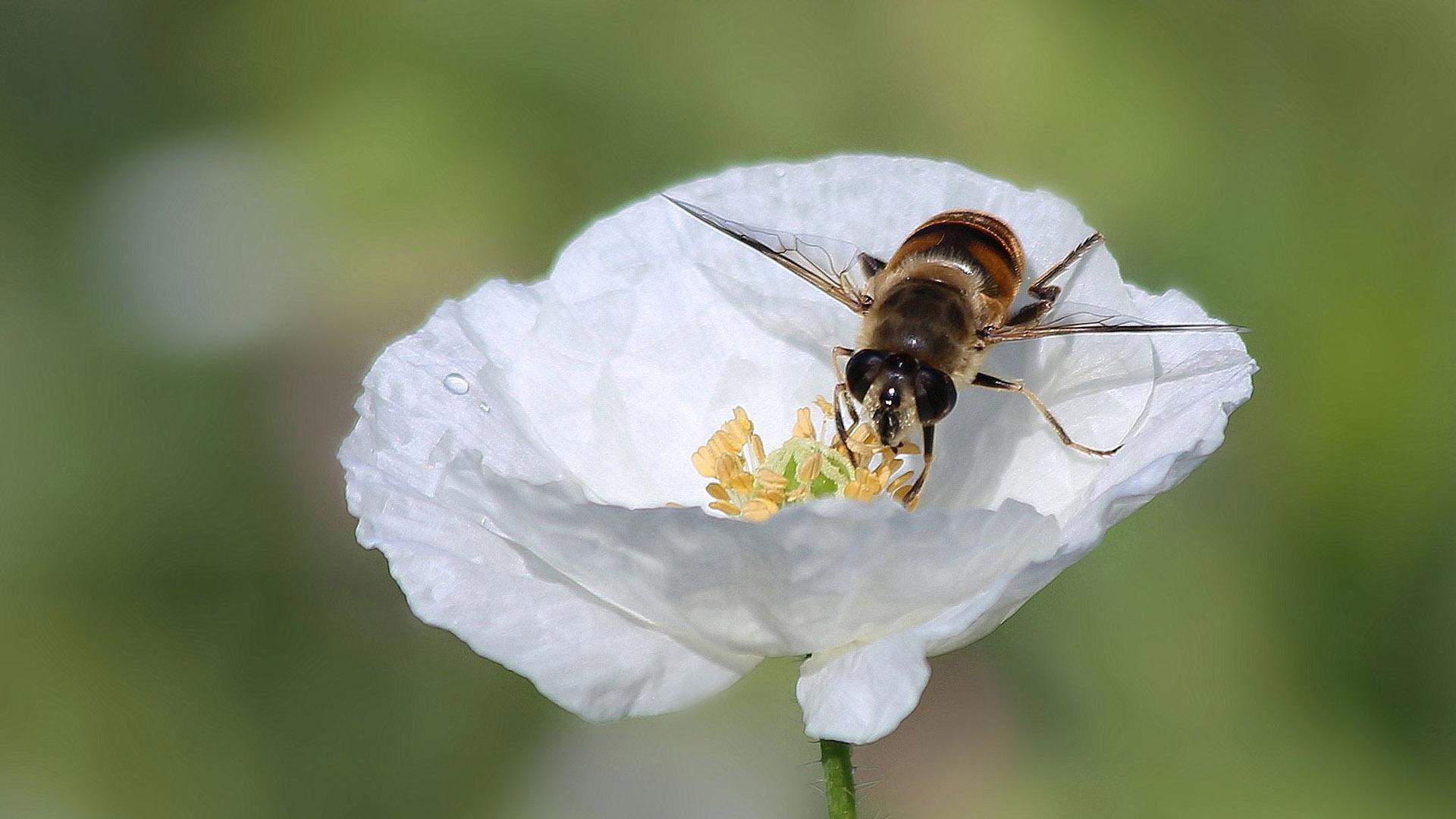 可遇不可求！3生肖下半年运气极好，职场得志，情场得意，梦想成真