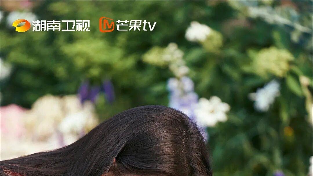 刘亦菲《去有风的地方》要出同名综艺了，拟邀陈坤、周迅、舒淇