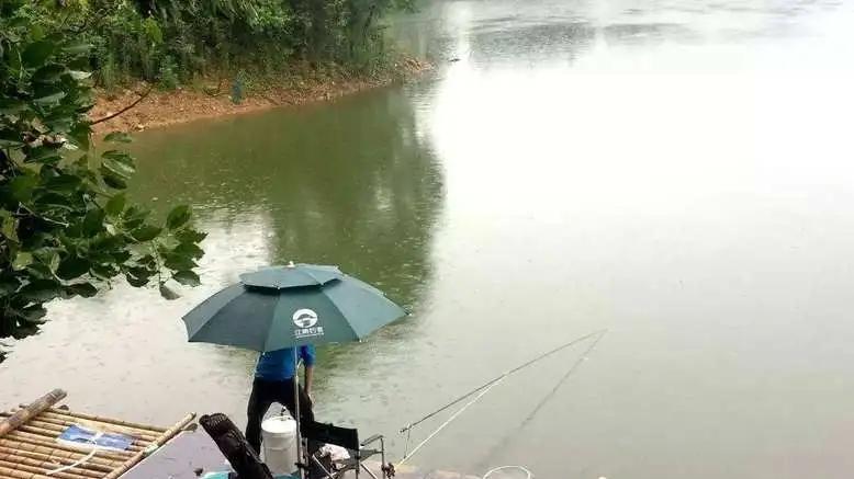 想在暴雨过后渔获颇丰？这些钓鱼技巧和注意事项必看