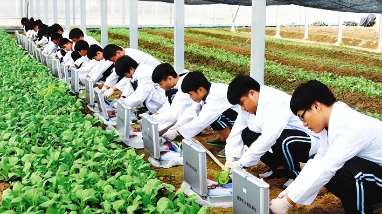 兄弟姐妹|平均年薪18万的国企公开招聘，待遇不比公务员差，专科生也能报名