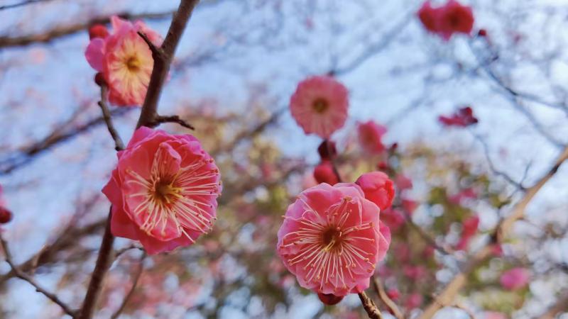 杭州|领导赶你走的十大手段