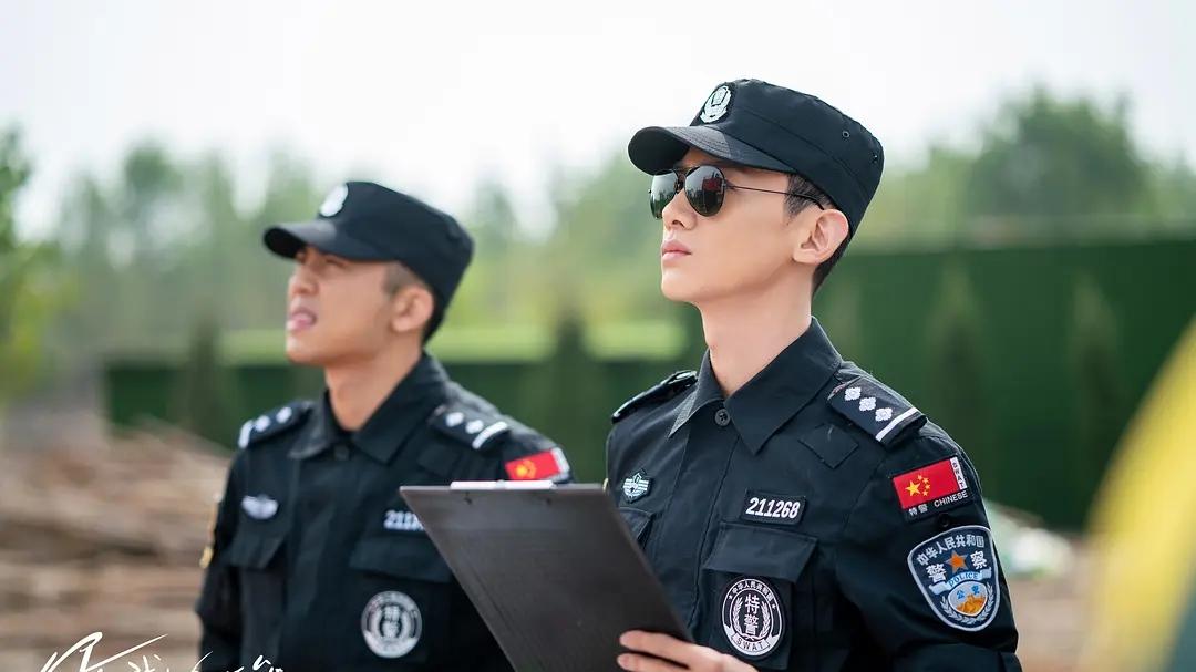 公认零差评的4部电视剧，剧情精彩看点十足，你喜欢哪部？