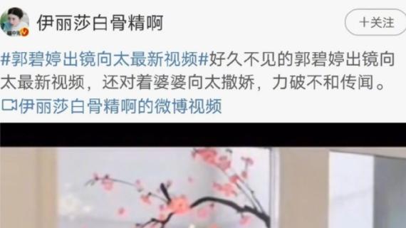 郭碧婷|婆媳关系全靠演戏？郭碧婷向太秀恩爱被表情出卖，小腹隆起疑3胎