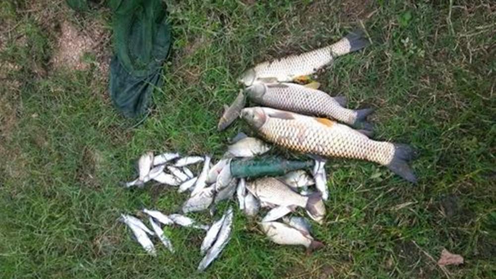 野钓狠招数：用飞铅钓法钓鱼，铅应该“飞”多少？