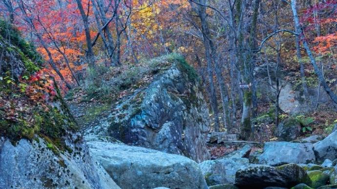 全职妈妈|生完孩子后，你愿意做全职妈妈还是回归职场？