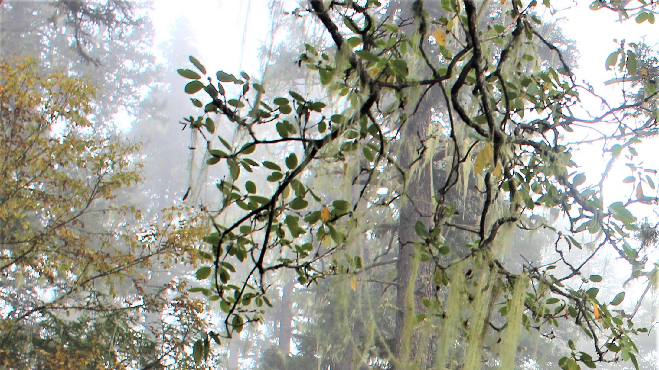 |实在不行，就苟起来吧