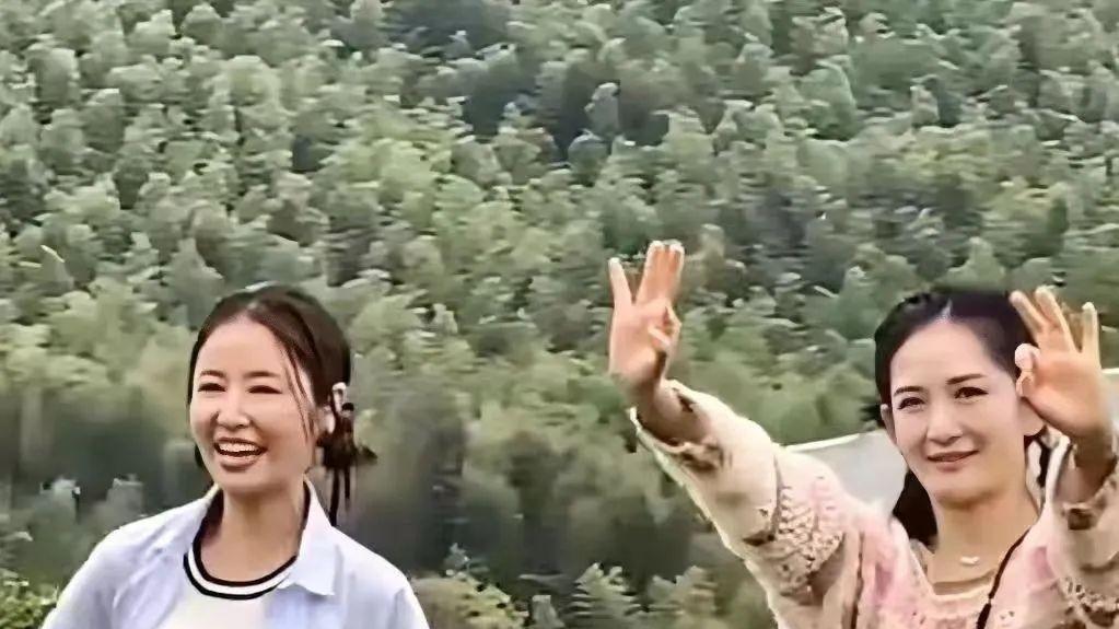 回顾：林心如官宣新综艺，评论区一片抵制，她为何走到了今天？