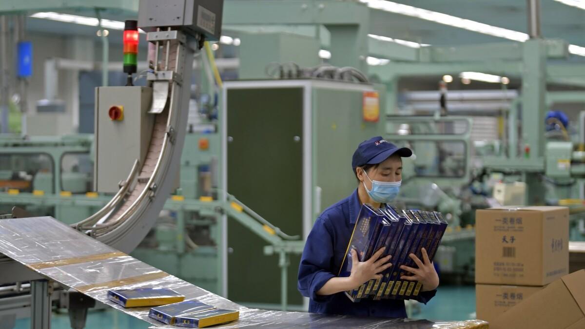 招聘|2023年起中国烟草招人，六险二金全国有岗，不是关系户也能去