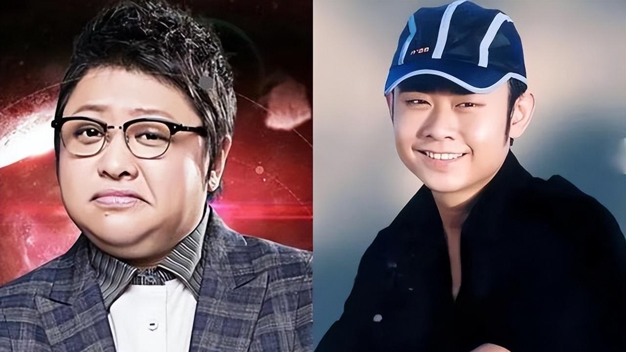 那英|好声音风波不断，那英称病退出音乐节，韩红曾力挺刀郎质疑好声音