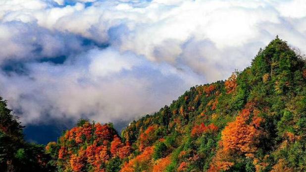 |巴山大峡谷的秋韵悠悠, 云顶飞渡桥梁通天地, 穿越自然的油彩画卷
