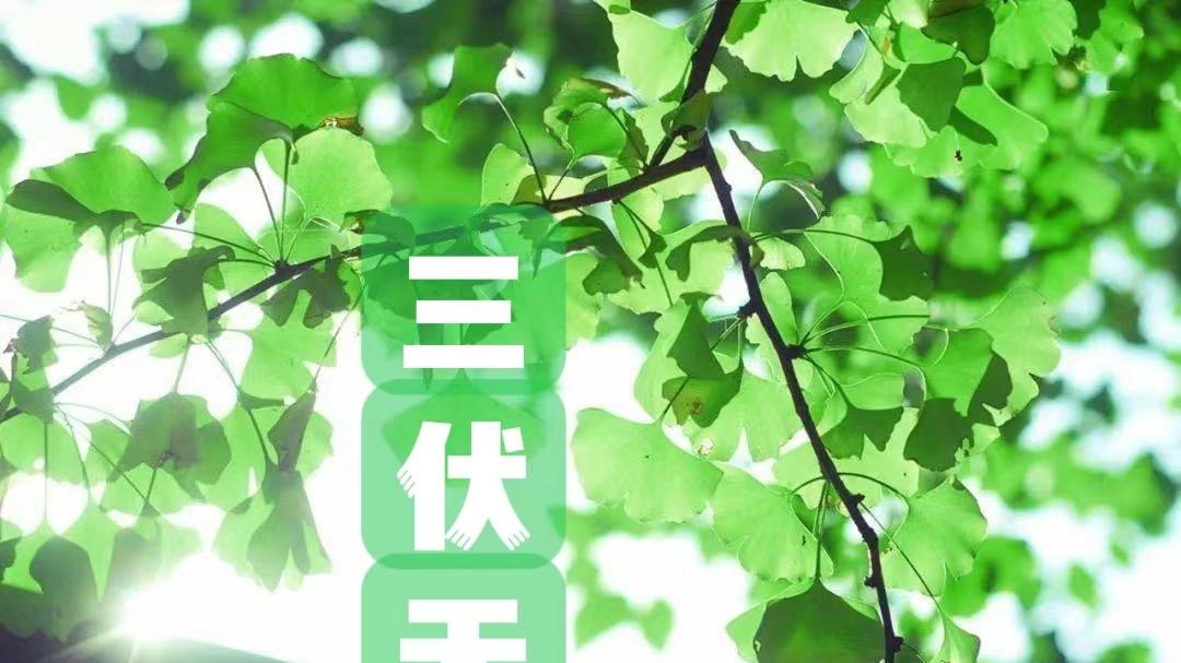 美食教程|伏天不吃酸，走路要人牵，7月11日入伏，多吃4酸，滋阴润肺护心肝