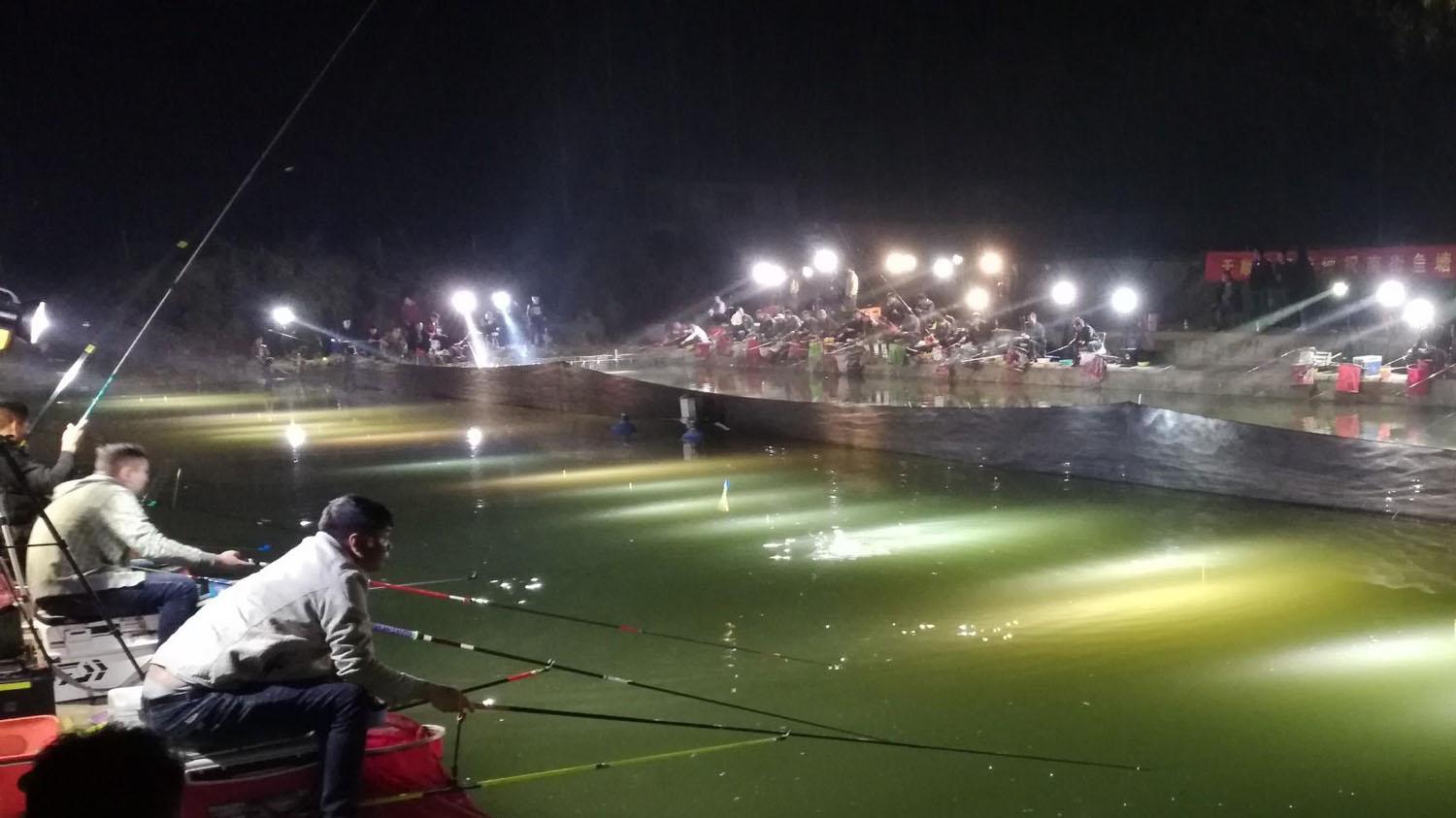 夏季夜钓黑坑鲤鱼的5个重点技巧，让你大幅提高钓获甚至爆护