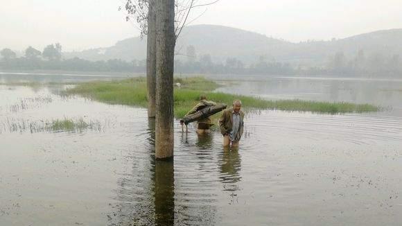 黄骨鱼|春季野钓入水口详解，钓法用好爆护不难