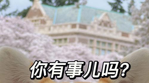 糖醋排骨|搞笑故事里的小知识