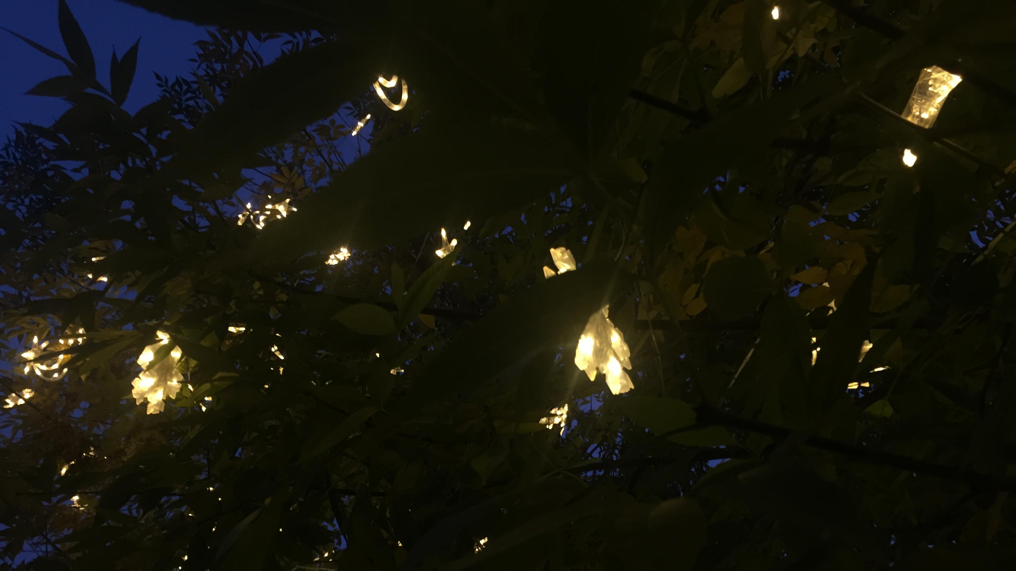 |生活是什么味道？