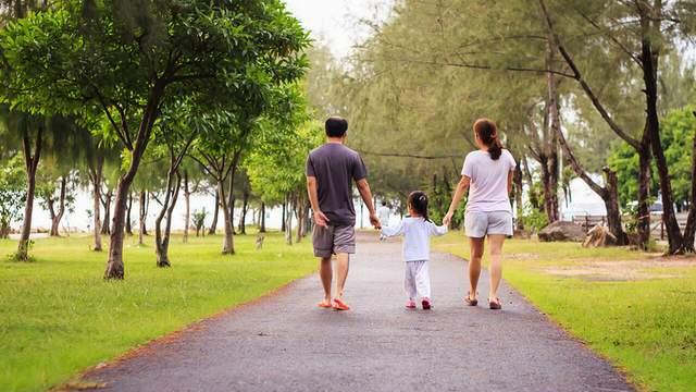 大脑 大脑能耗占到人体的20%，如此的高，为什么多动脑子不能减肥？