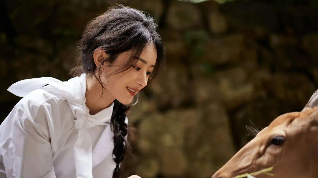 赵丽颖圆脸代表冲进娱乐圈！曾经的蛇精脸都去了哪里呢？