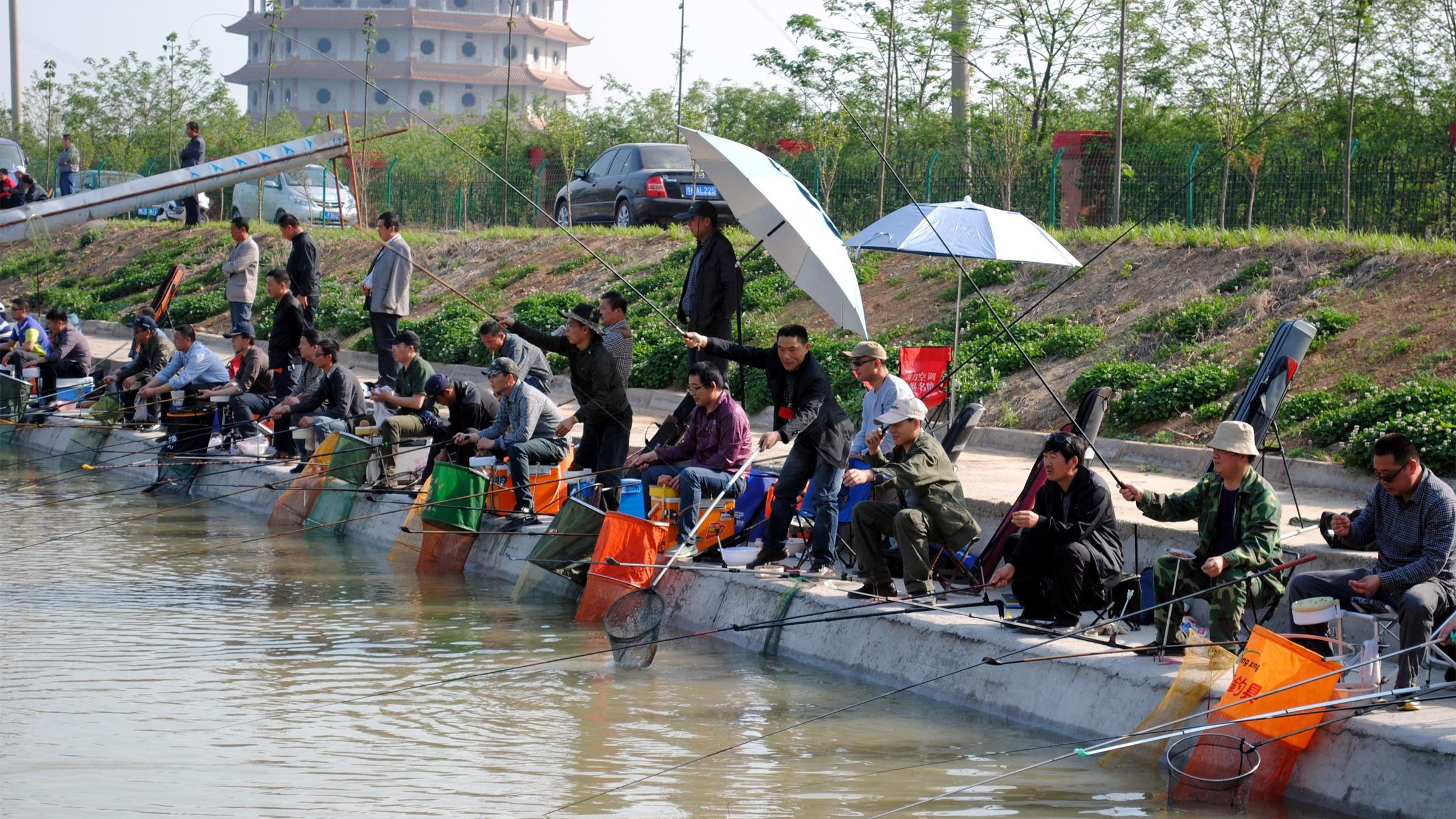 |春天钓深还是钓浅？四句口诀轻松解决，春季钓鱼深浅的口诀