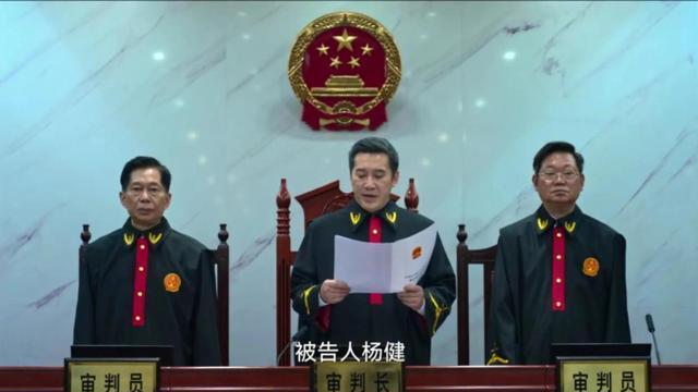 有期徒刑|《狂飙》解析19！杨健被判15年有期徒刑，判重了，还是判轻了？