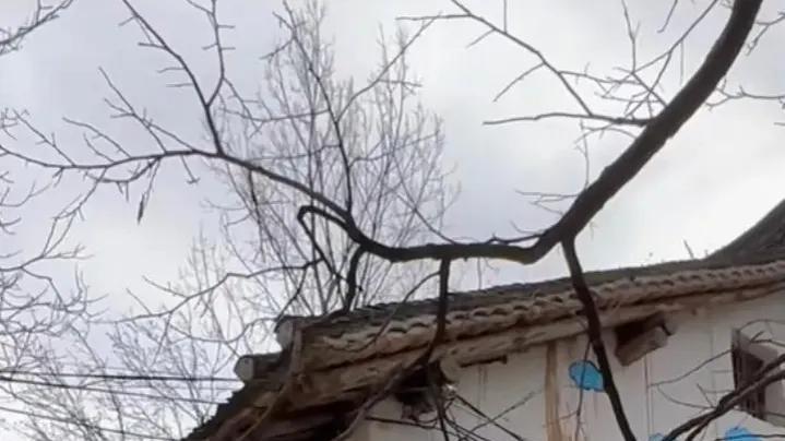 董宇辉|趣事春节返乡30而立的董宇辉与董3岁自由切换！