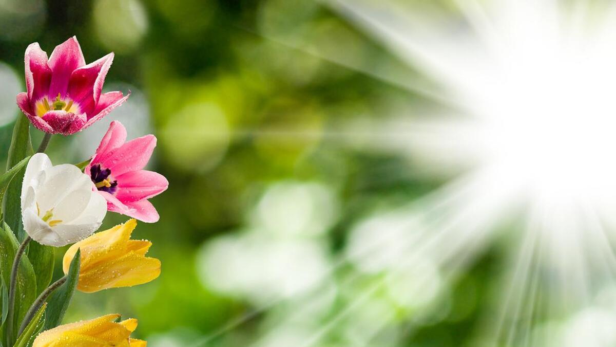 职场的和平使者，最能化解冲突的三个星座