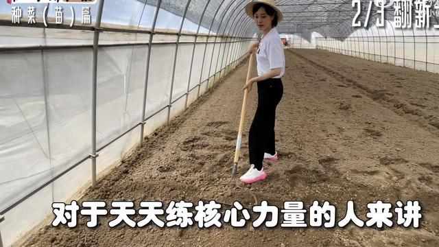 孙俪|孙俪承包大棚种菜曝光：变身农民狠干苦力活，种菜卖力气太有趣味！