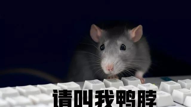 鸭脖|“鸭脖”学校菜里又吃出超级大青虫，这次不是鸭脖，是一个泡椒！