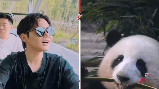 米妮|孟鹤堂做客秦霄贤综艺，接受节目组专访，网友：孟哥对熊猫真了解