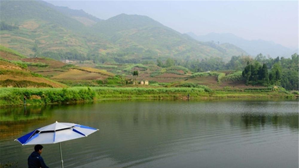 鲢鳙|手竿钓鲢鳙，自从学会这4大秘诀，狂拉大鲢鳙不是事