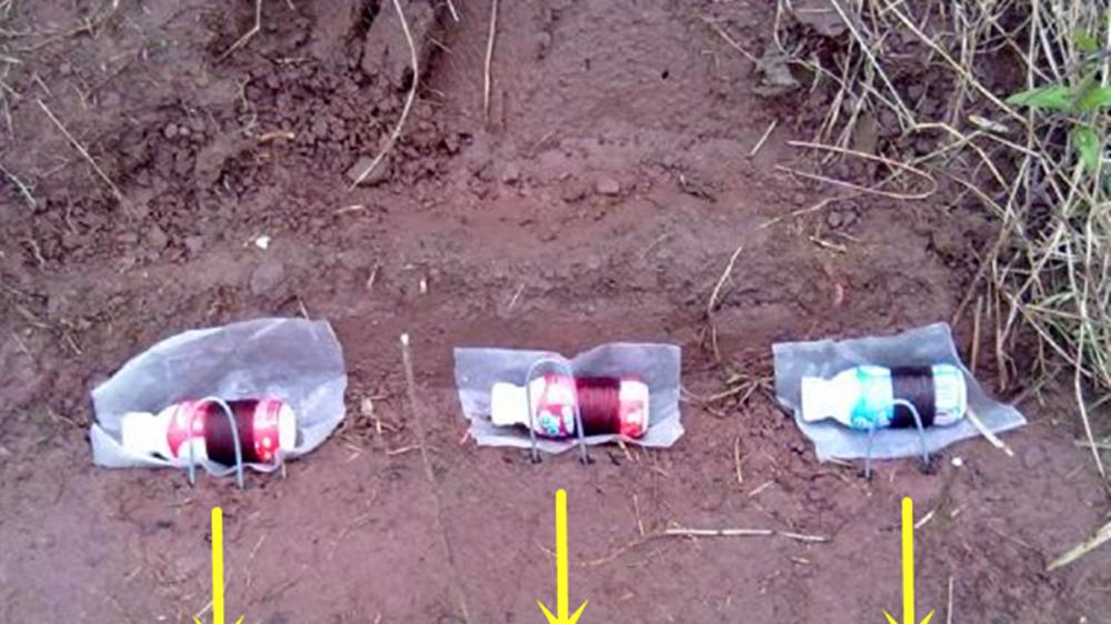 分享2种懒人钓法，不但省时省力，而且渔获不差