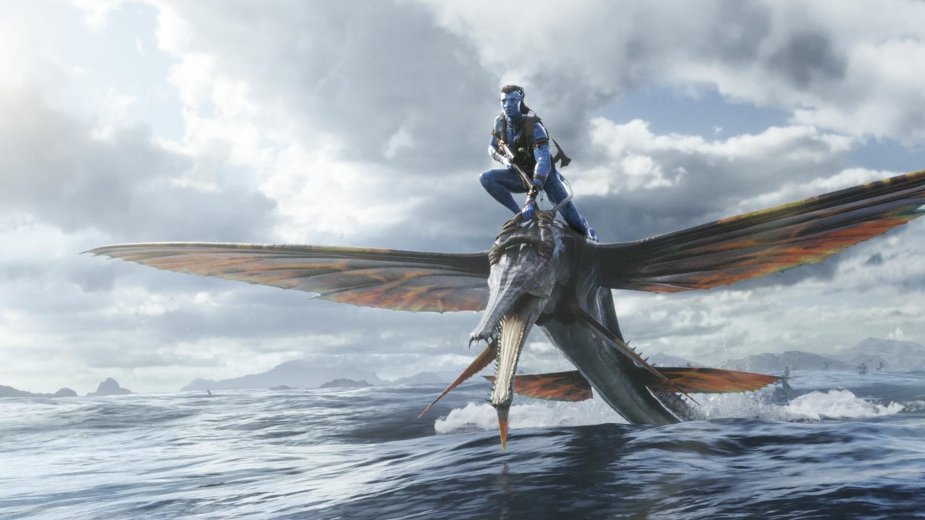 阿凡达2|?《绝望主夫》2天票房破1.11亿， 常远成了元旦档的常胜将军？