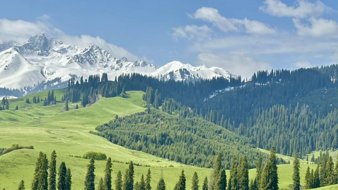 草原|夏天去看枯黄的草原？新疆伊犁的最佳游览季并不是7—8月！