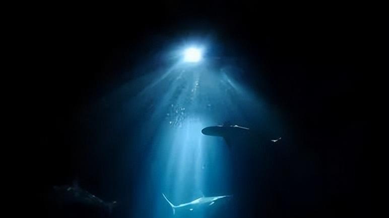 深海中有一种恐怖生物，能生吃大白鲨和虎鲸，美国潜艇也深受其害
