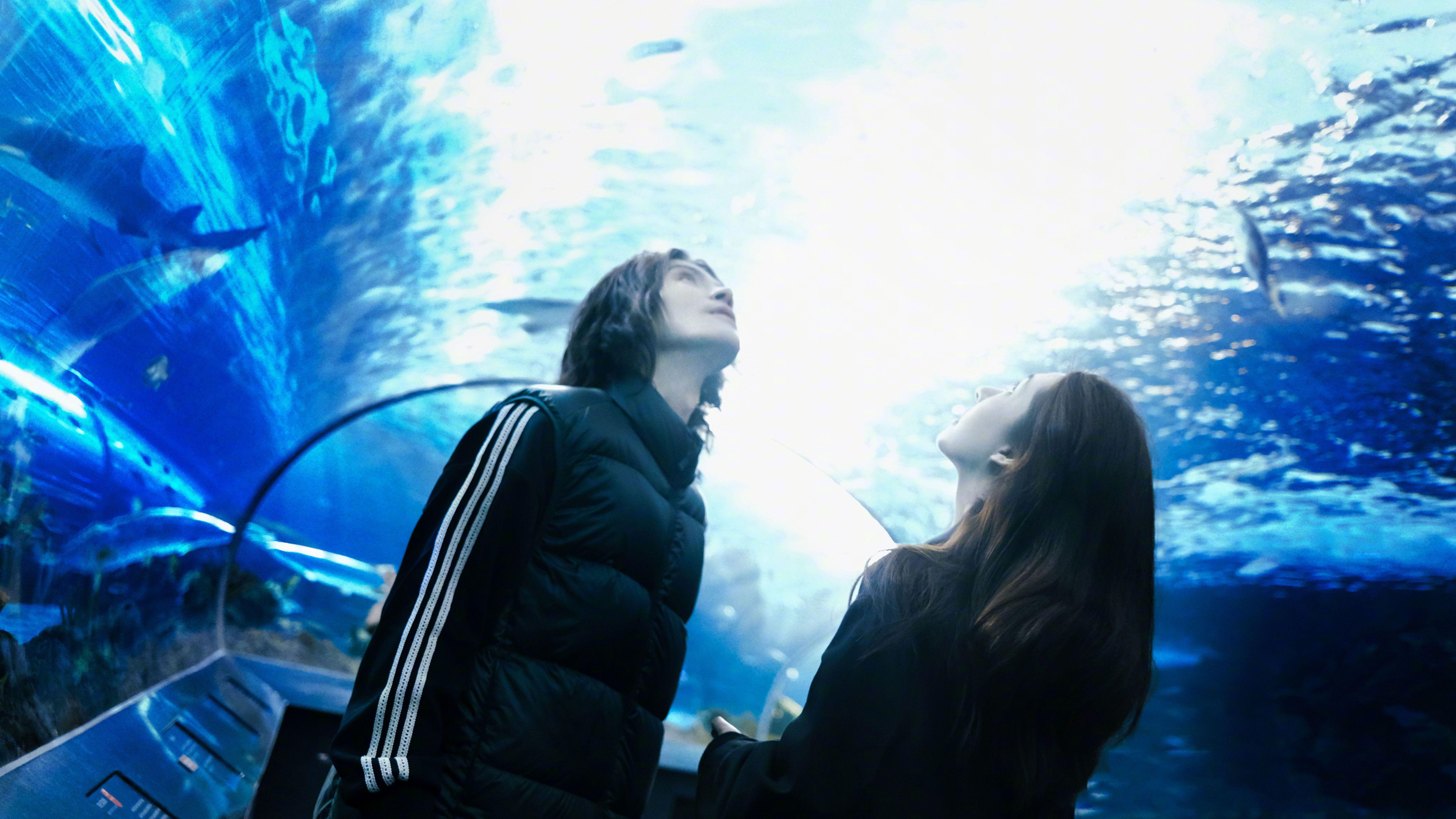 向佐郭碧婷的海洋馆剪影照，展现出浪漫与神秘的气息