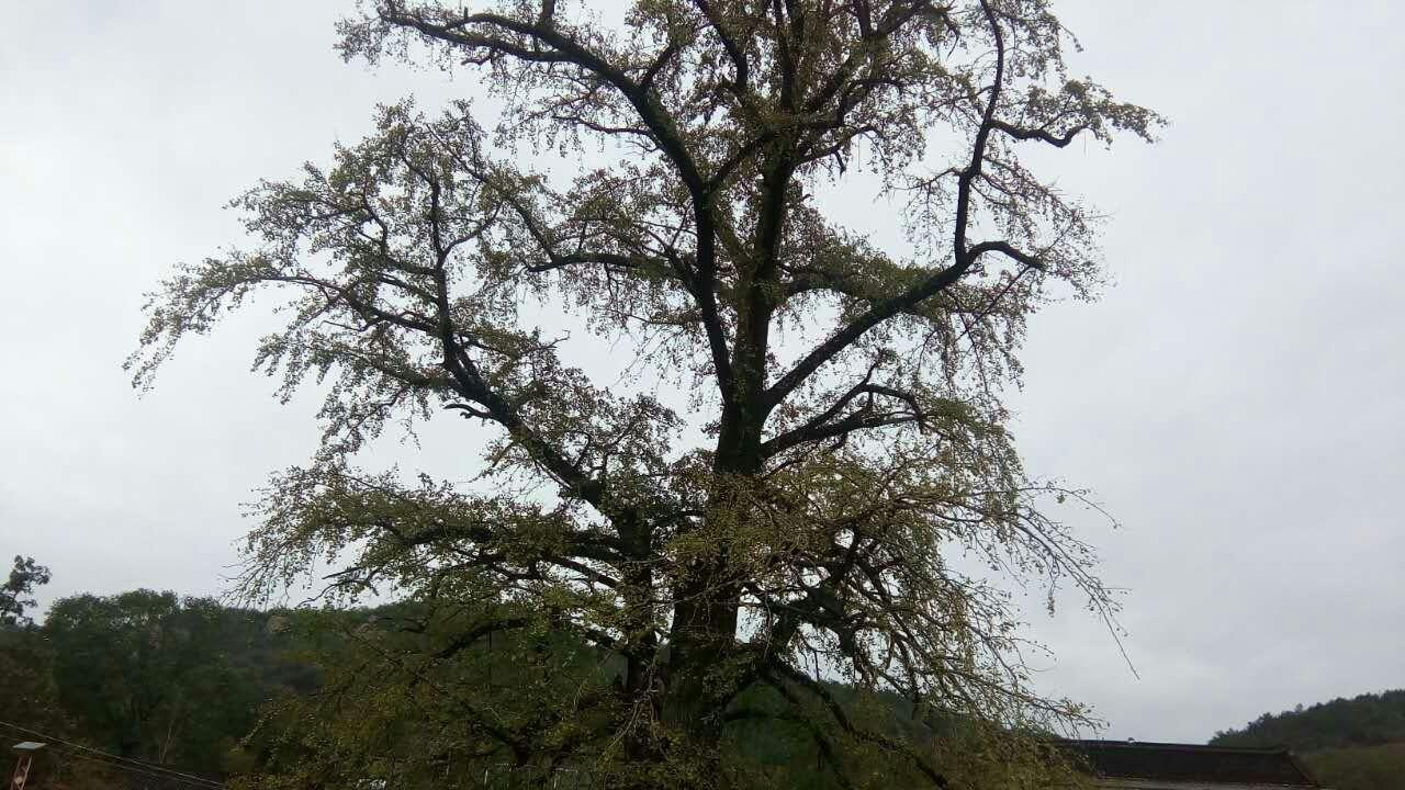 工人|职场，钱能决定一切吗？