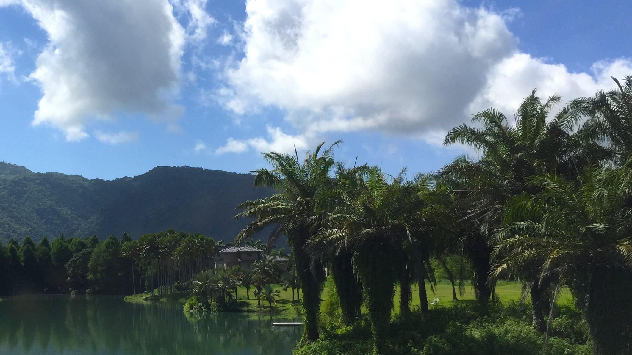 职场工作，要不要表现？