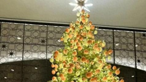 李湘高调晒王诗龄回国过圣诞，我笑死在网友的评论区