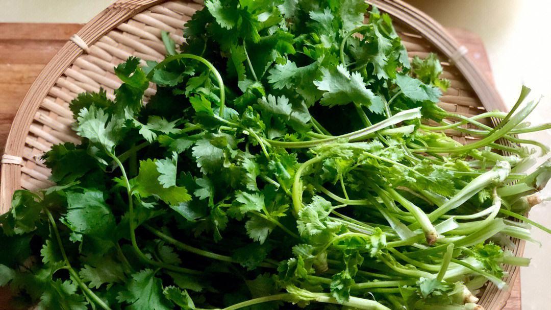 |香菜正当季！润肠通便降血压，但这3种人要远离，好多人不知道