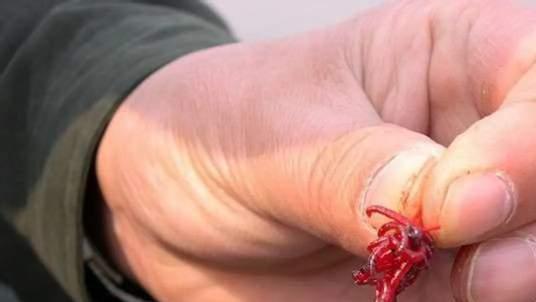 饵料|浅谈深冬野钓商品饵，发窝快诱鱼强配方分享