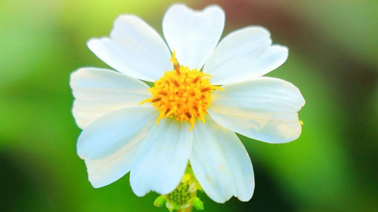 职场故事|专家称年轻人工资低是能力不够：在职场做内卷式员工，是什么体验