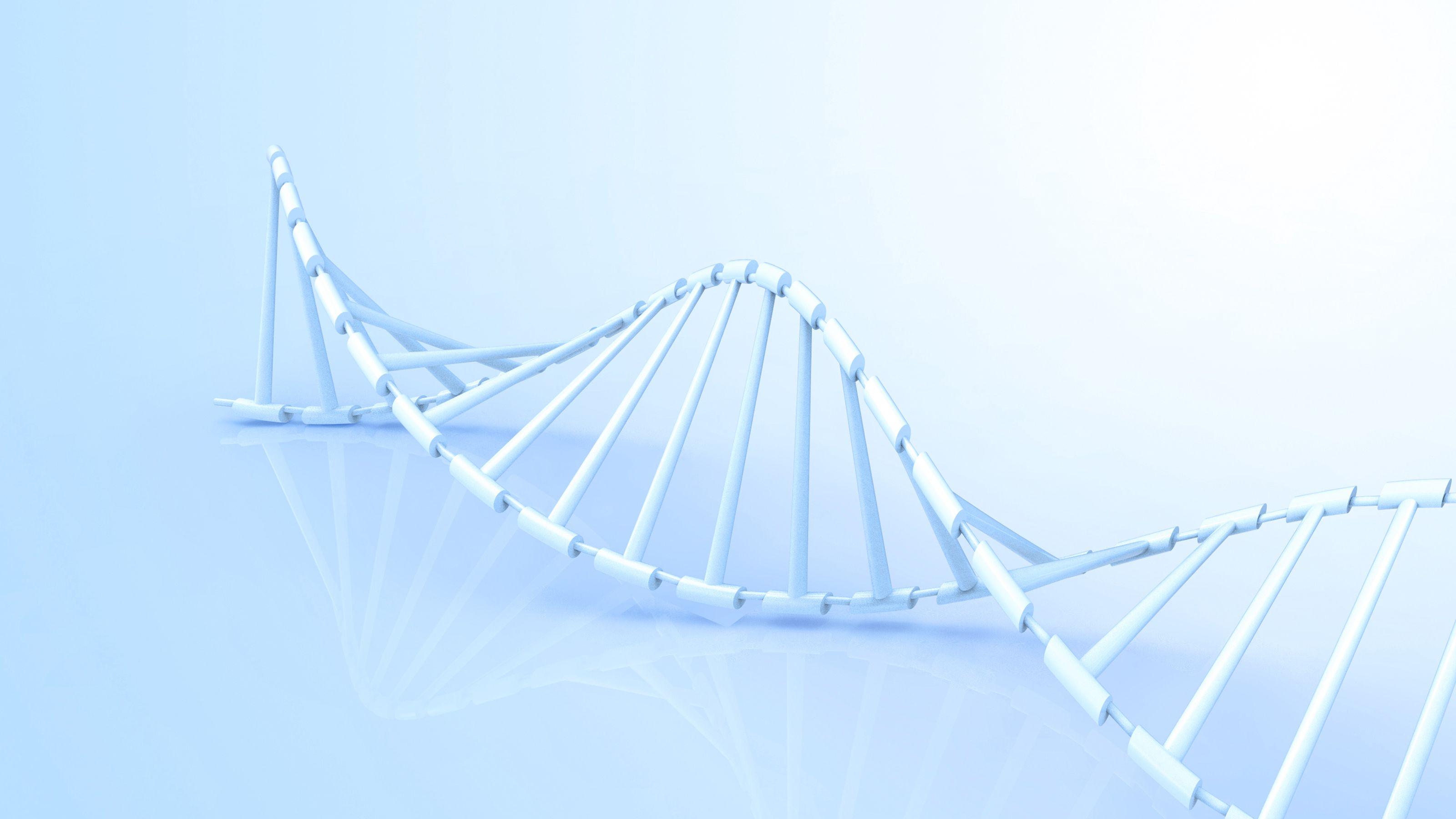 人类癌症基因组重复扩展机制