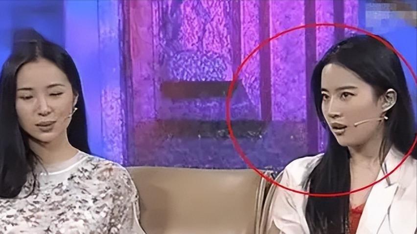 袁立|4位祸从口出的明星：揭人短、大聊性事、谎话连篇，凉的都不冤